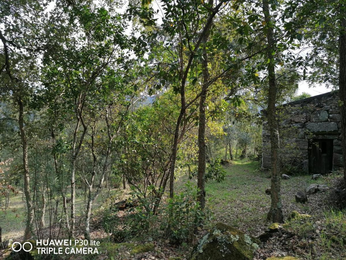 Casa Douro Terrace Villa Baiao Bagian luar foto