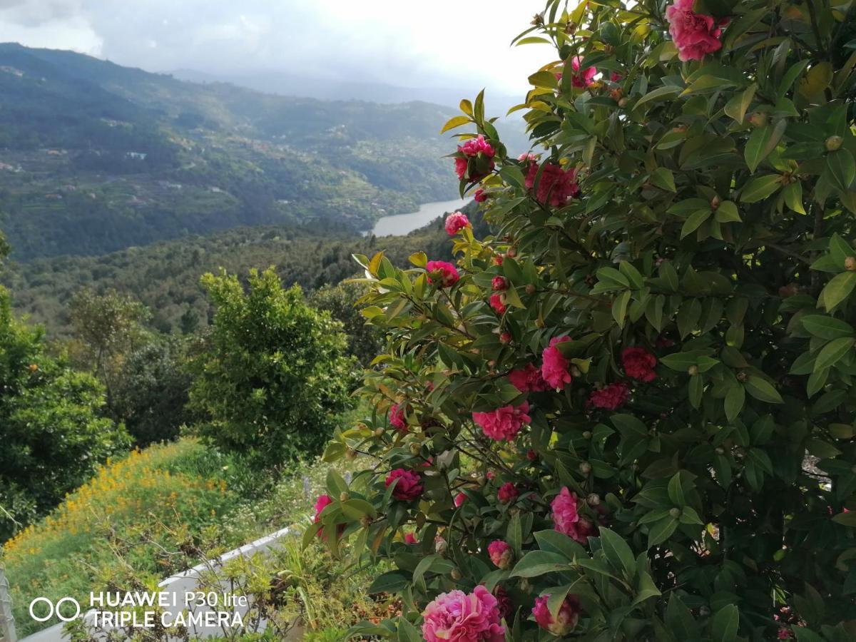 Casa Douro Terrace Villa Baiao Bagian luar foto